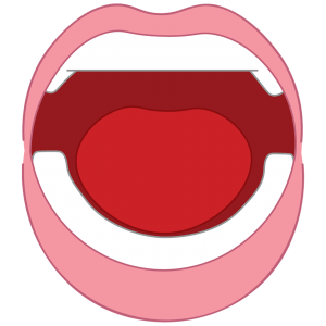 mouth-1904940_1280