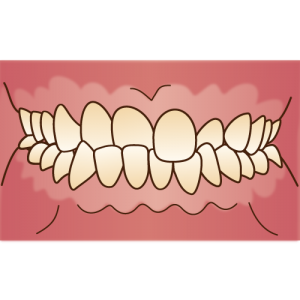 orthodontics057