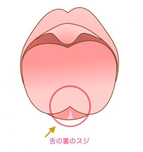 舌小帯.001
